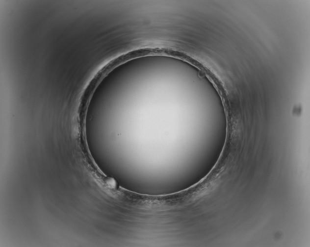 X0000097970927200803241231