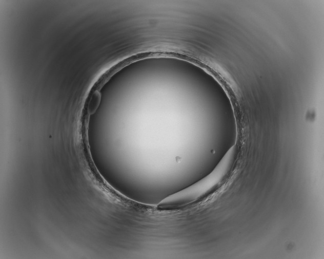 X0000097970928200803241231