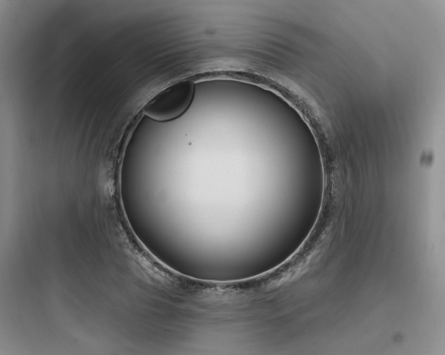 X0000097970929200803241231