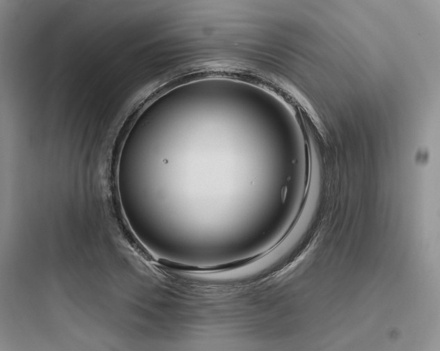 X0000097970930200803241231