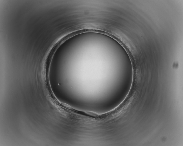 X0000097970931200803241231