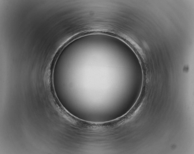 X0000097970933200803241231
