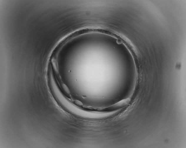 X0000097970935200803241232