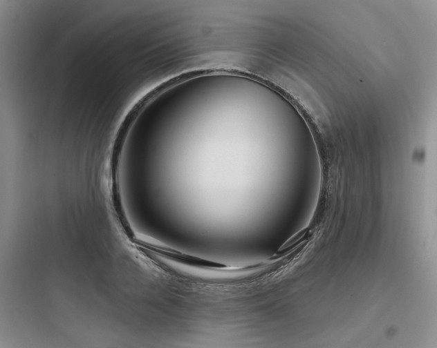 X0000097970936200803241232