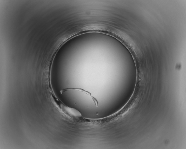 X0000097970937200803241232