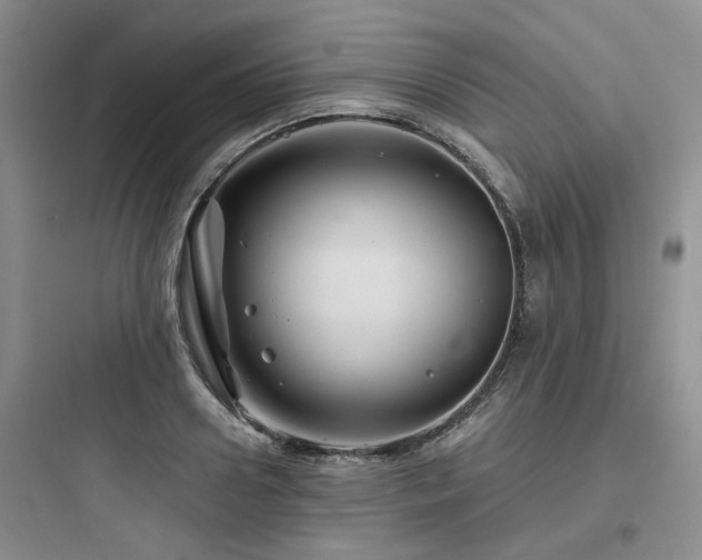 X0000097970938200803241232