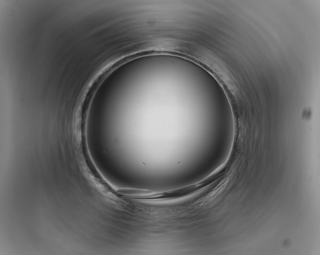 X0000097970939200803241232