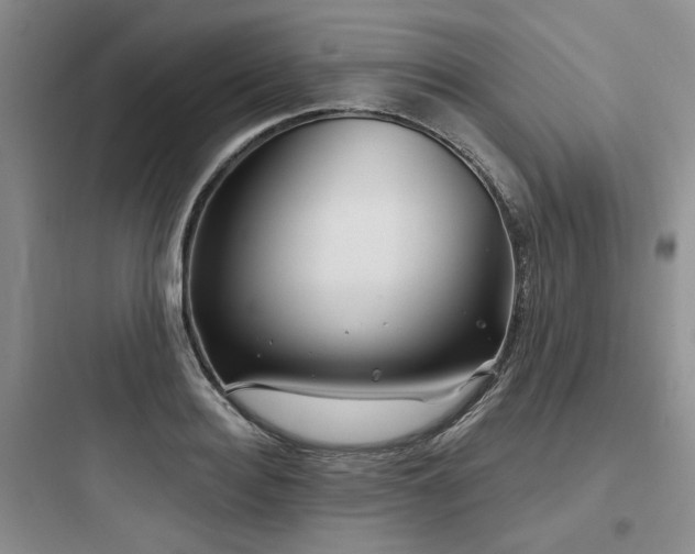 X0000097970940200803241232