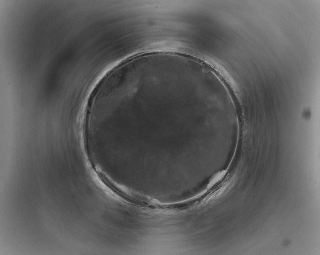X0000097970941200803241232