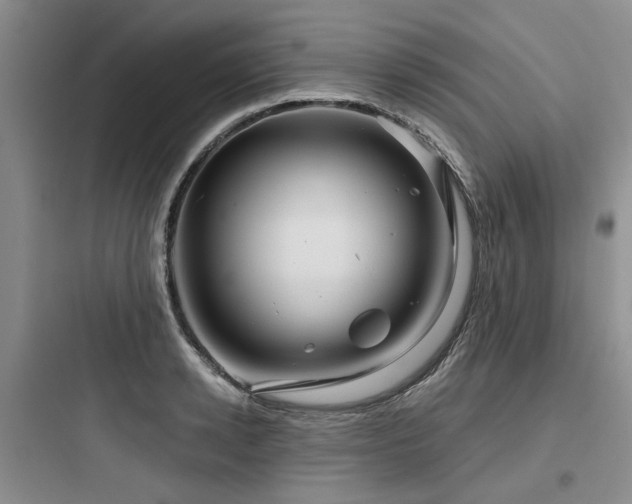 X0000097970942200803241232