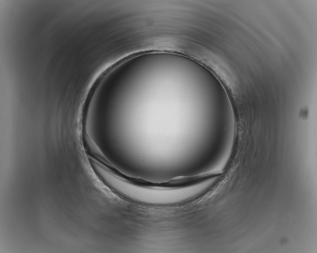 X0000097970944200803241232