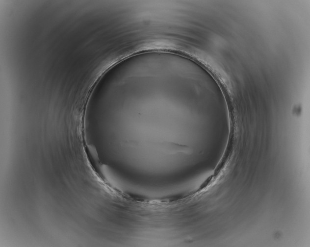 X0000097970945200803241232