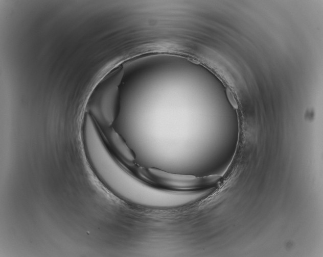 X0000097970946200803241232