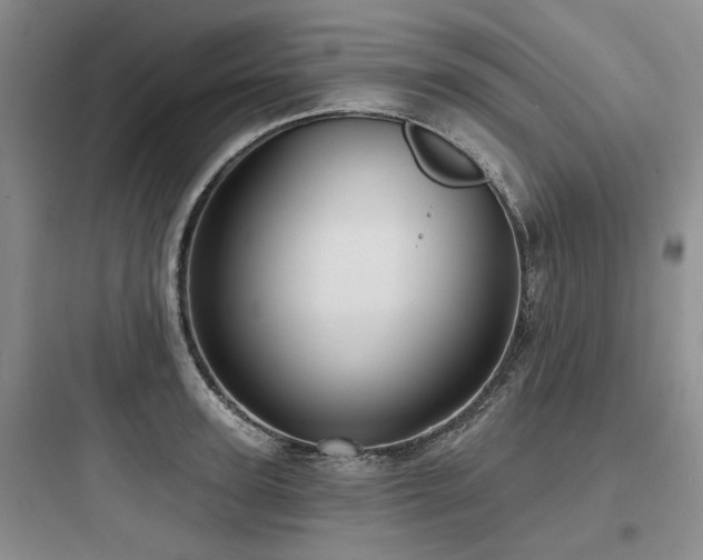 X0000097970947200803241232