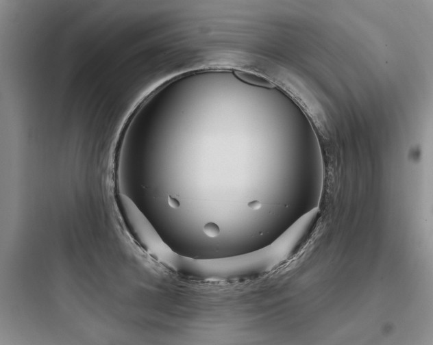 X0000097970948200803241232