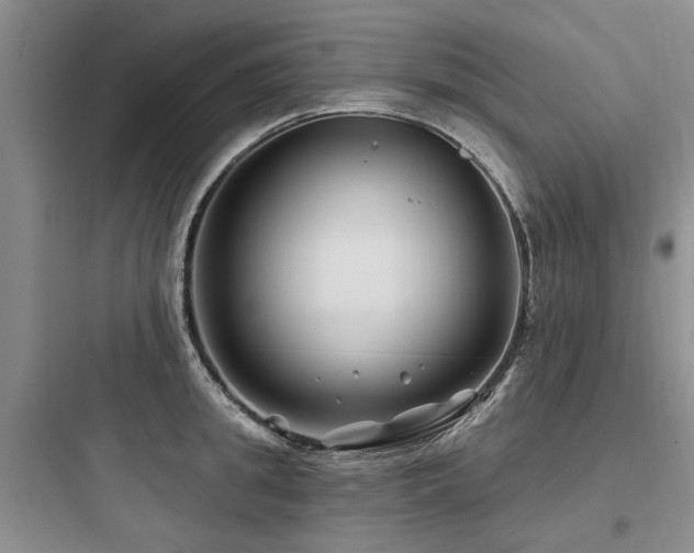 X0000097970949200803241232