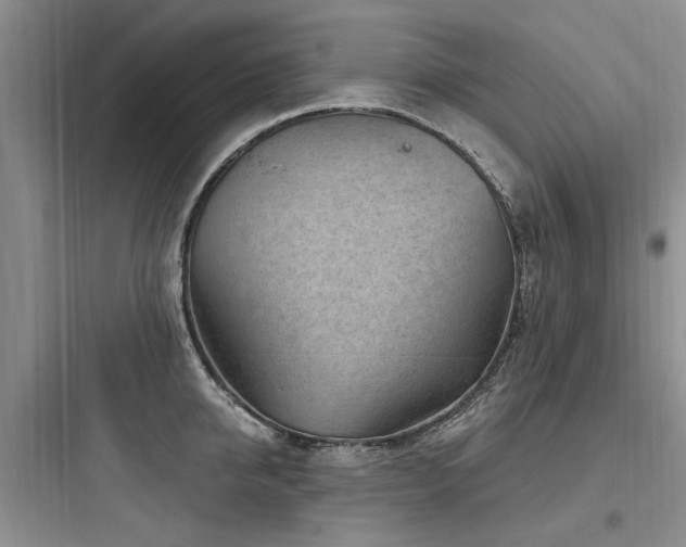 X0000097970950200803241232