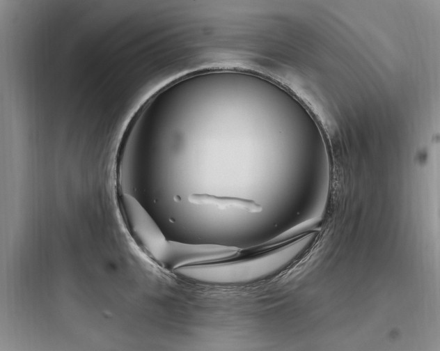 X0000097970951200803241232