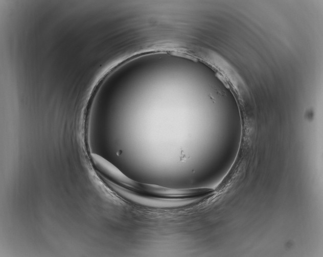 X0000097970952200803241232