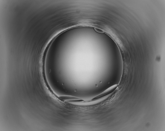 X0000097970955200803241232