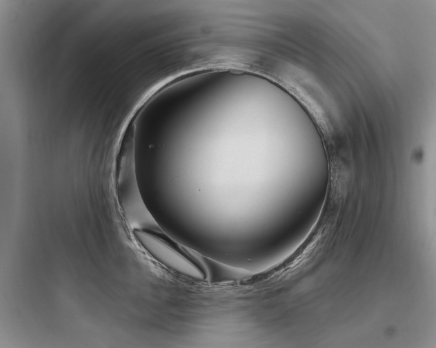 X0000097970956200803241232