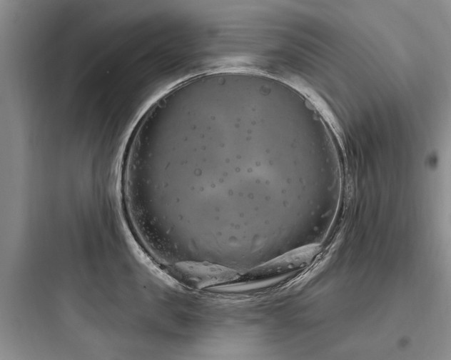 X0000097970957200803241232