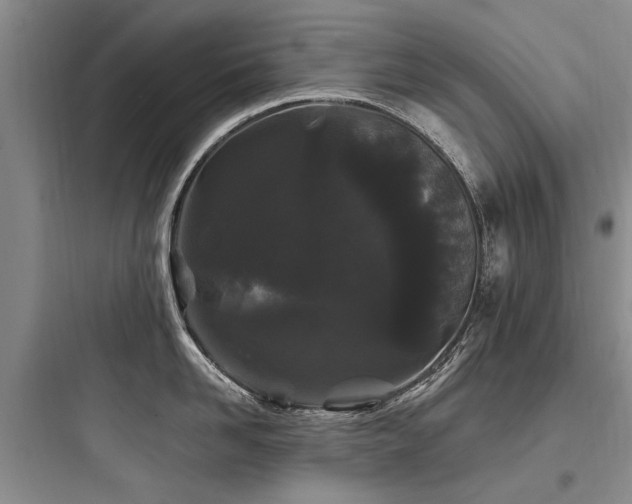 X0000097970958200803241232