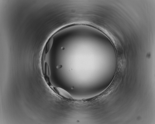 X0000097970959200803241232