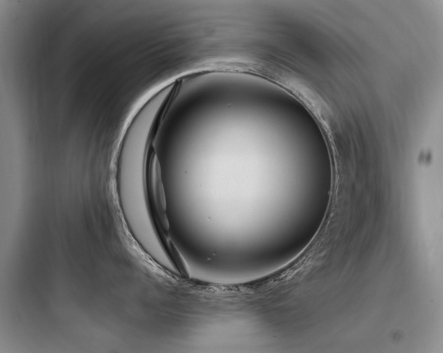 X0000097970960200803241232
