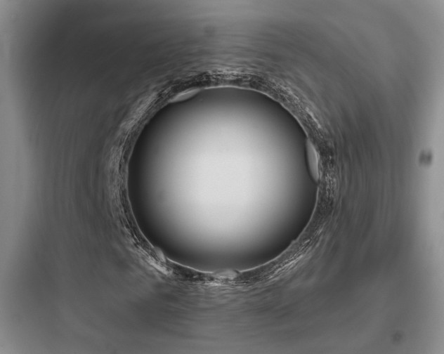 X0000097970961200803241231