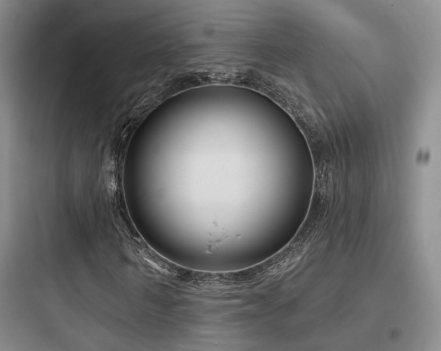 X0000097970962200803241231