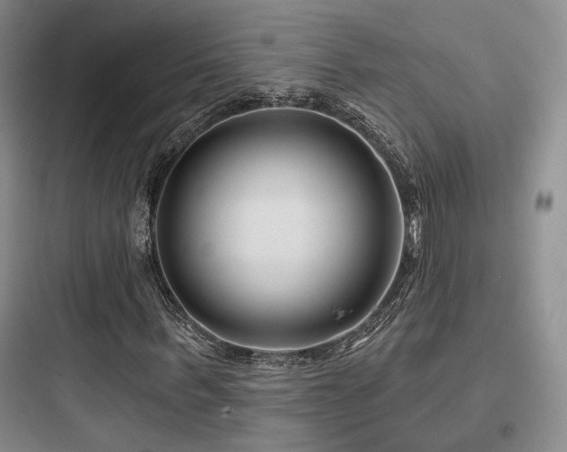 X0000097970963200803241231