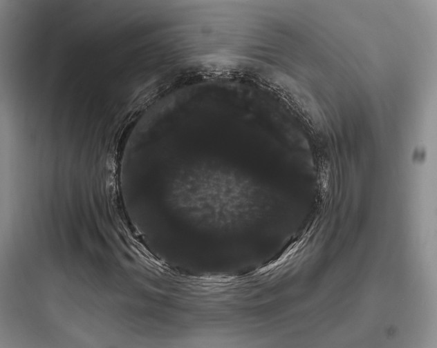 X0000097970964200803241231