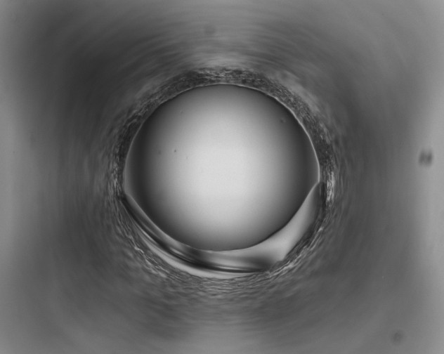 X0000097970965200803241231
