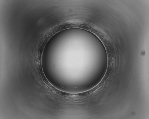 X0000097970966200803241231