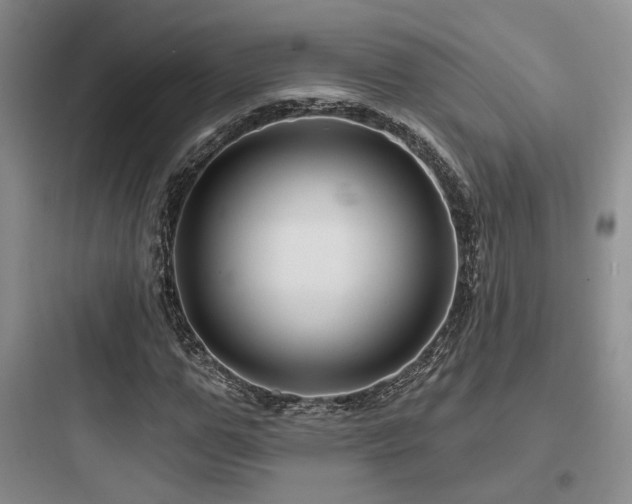 X0000097970967200803241231