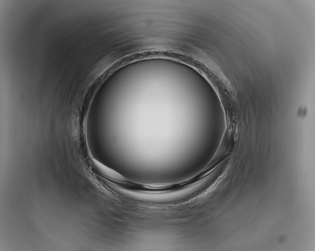 X0000097970969200803241231