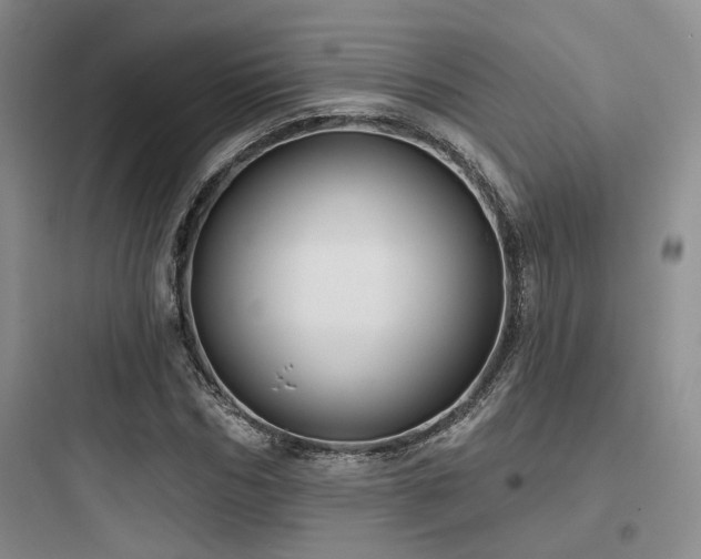 X0000097970970200803241231
