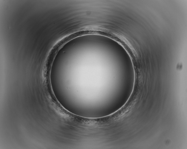 X0000097970971200803241231