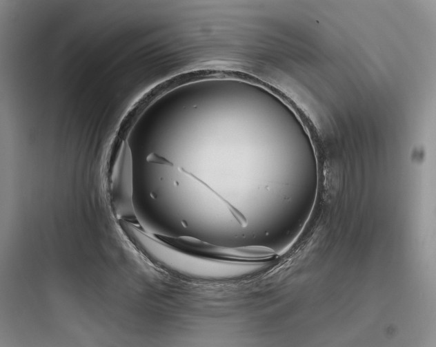 X0000097970972200803241231