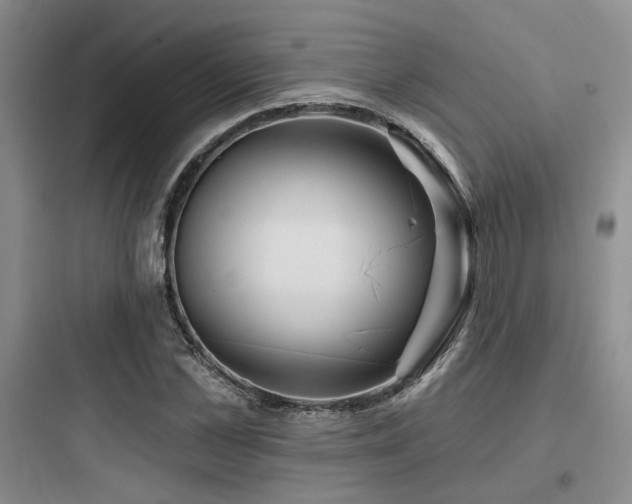 X0000097970973200803241231