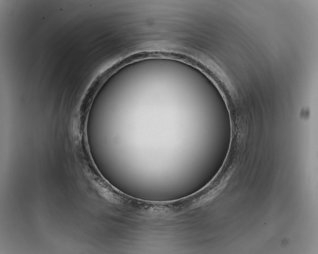 X0000097970974200803241231