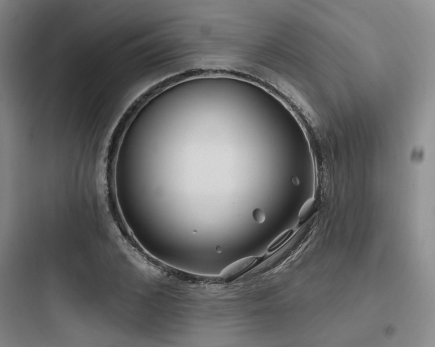 X0000097970976200803241231