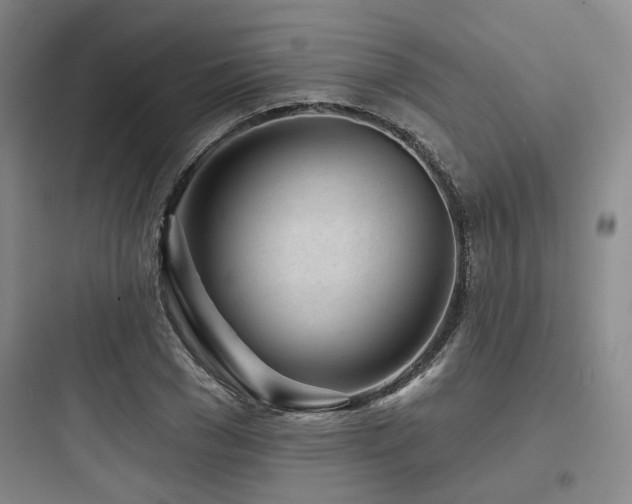 X0000097970977200803241231