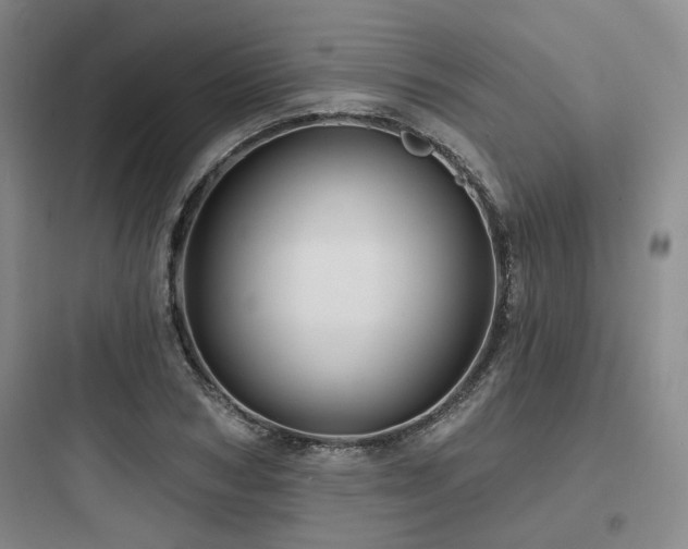 X0000097970978200803241231