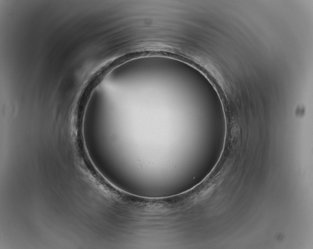 X0000097970979200803241231