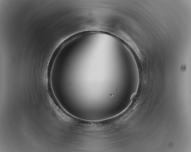 X0000097970980200803241231