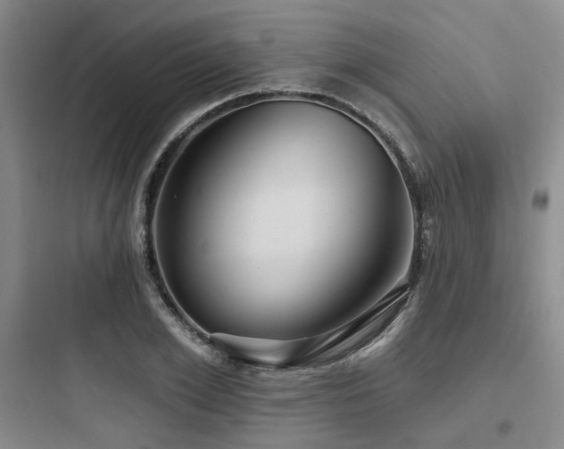 X0000097970981200803241231
