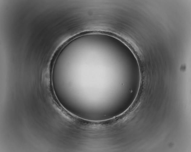 X0000097970982200803241231
