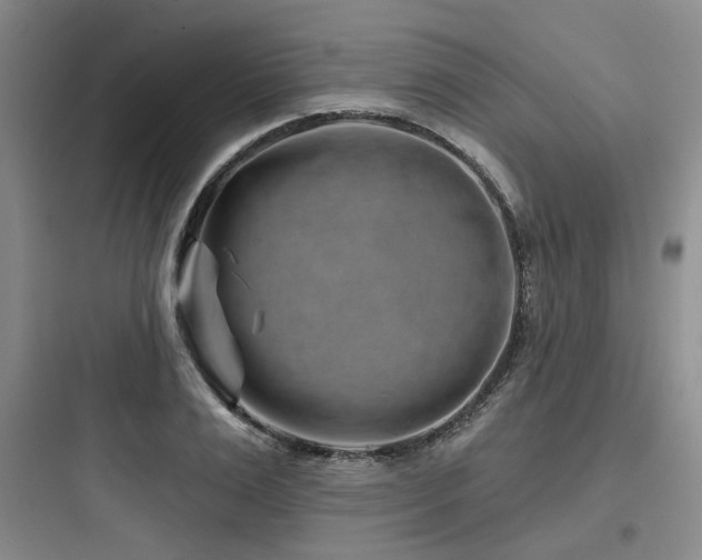X0000097970983200803241231